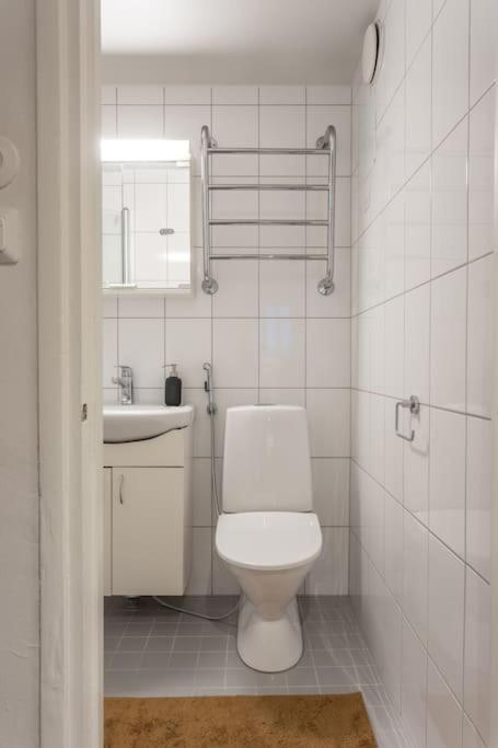 Tilava Huoneisto Helsingissa Apartment Helsinki Ngoại thất bức ảnh